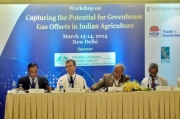 Capturing the Potential for Greenhouse Gas Offsets in Indian Agriculture