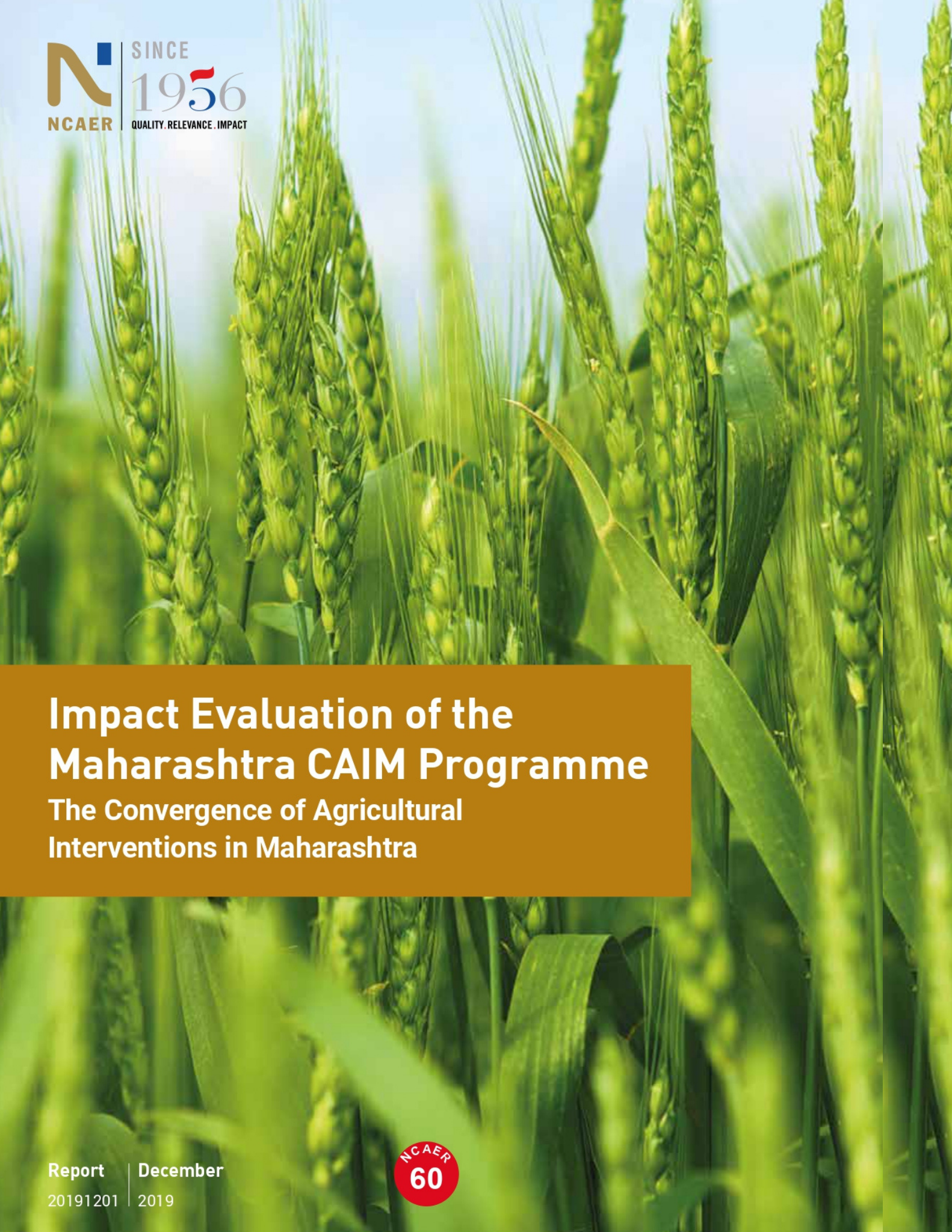 Impact Evaluation of the Maharashtra CAIM Programme