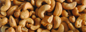 Why we need to boost Cashew Export in Konkan Region of the State?