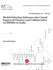 Model-Selection Inference for Causal Impact of Clusters and Collaboration on MSMEs in India