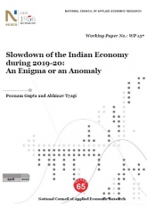 14801Slowdown of the Indian Economy during 2019-20:  An Enigma or an Anomaly