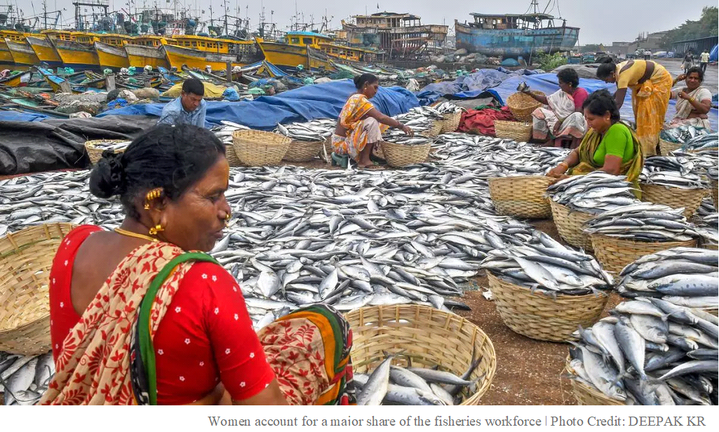Raw deal for women in the fisheries sector